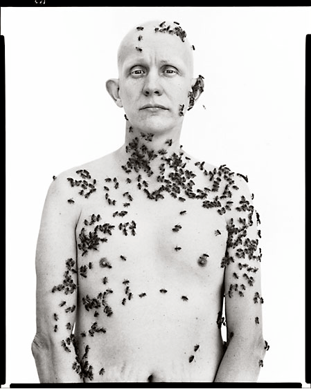 avedon-beekeeper