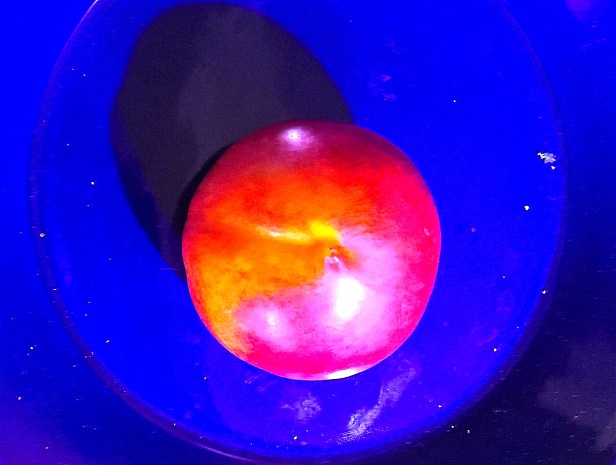 Nectarine on a Blue Plate 2