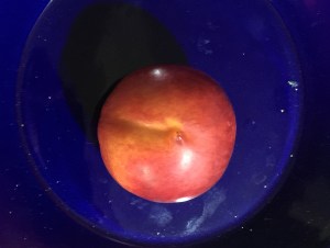 Nectarine on Blue Plate (original)