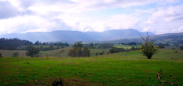 Megalong cropped tinted 1 copy